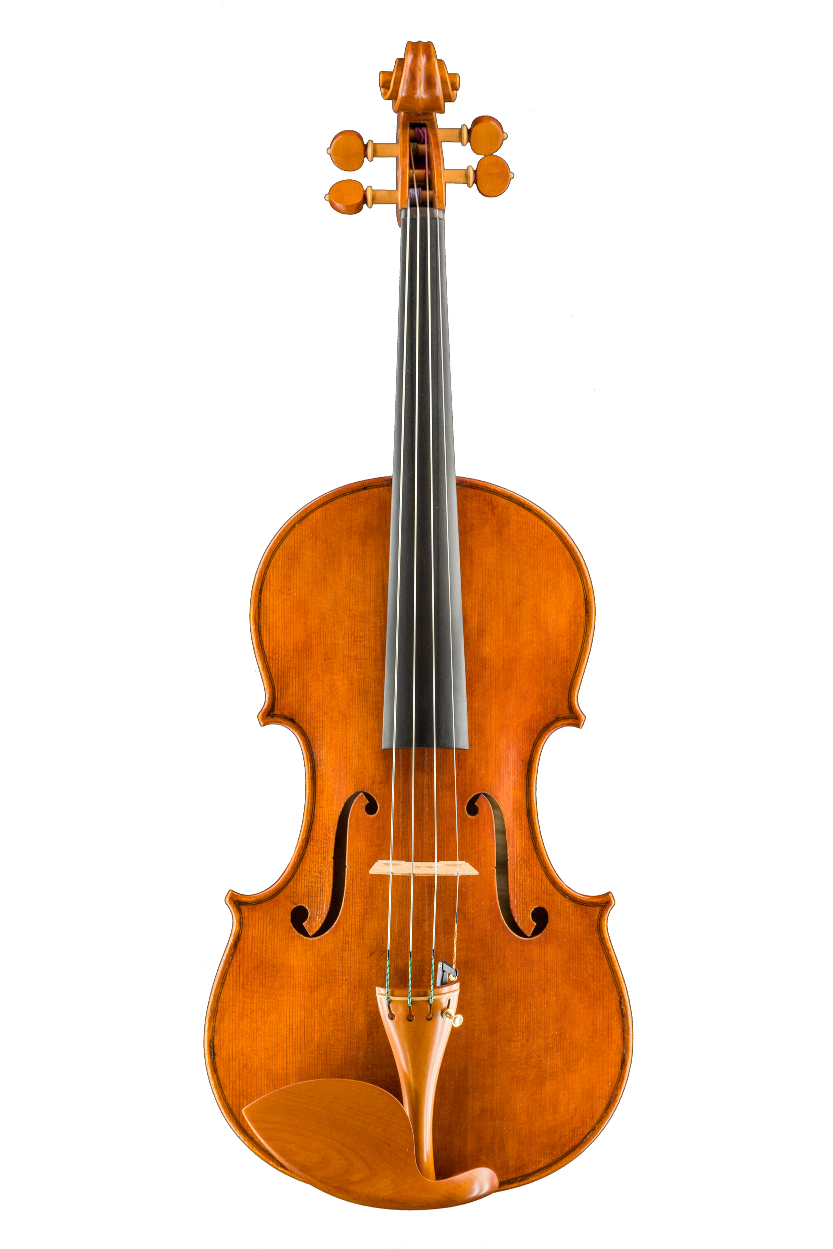 14. 김태석 Viola – 제작가 고유모델